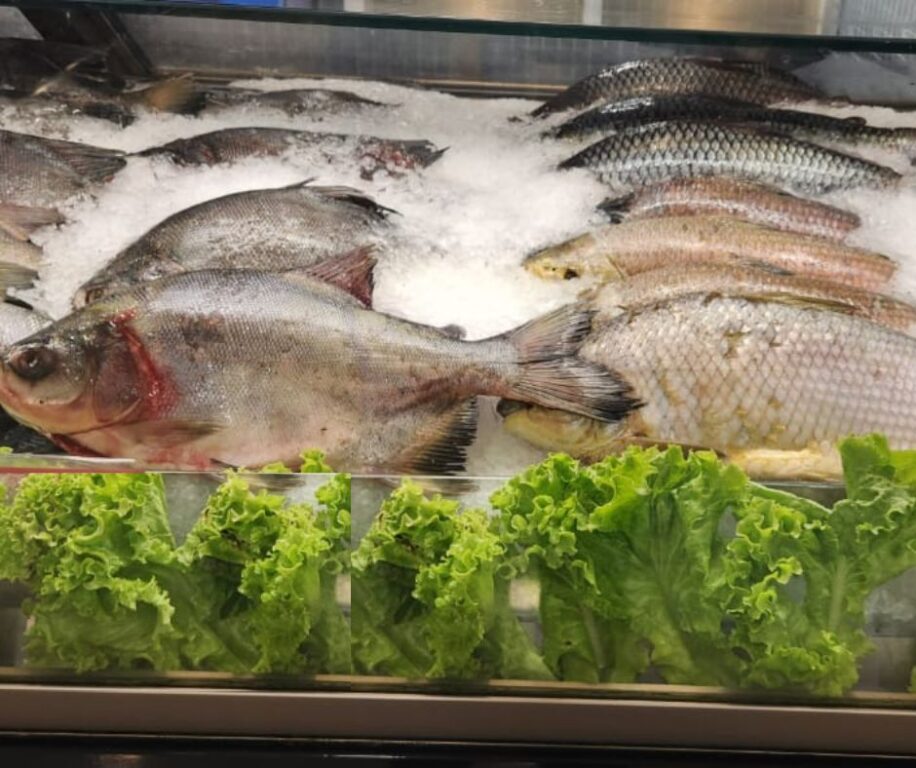 Produção nacional de peixes cresce 9,21%