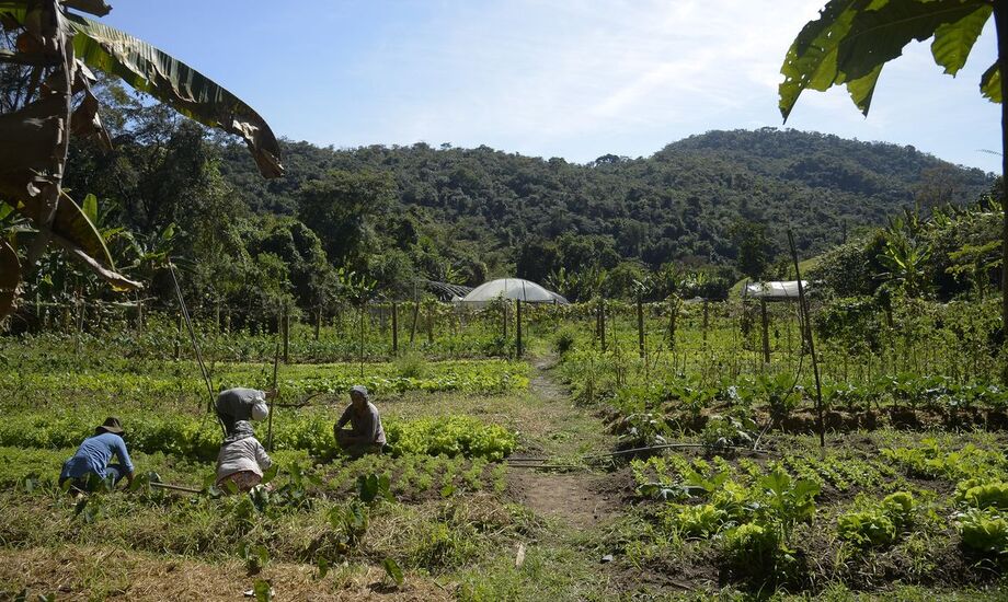 Lula anuncia R$ 12 bilhões para renegociação de dívidas rurais e alívio a agricultores.