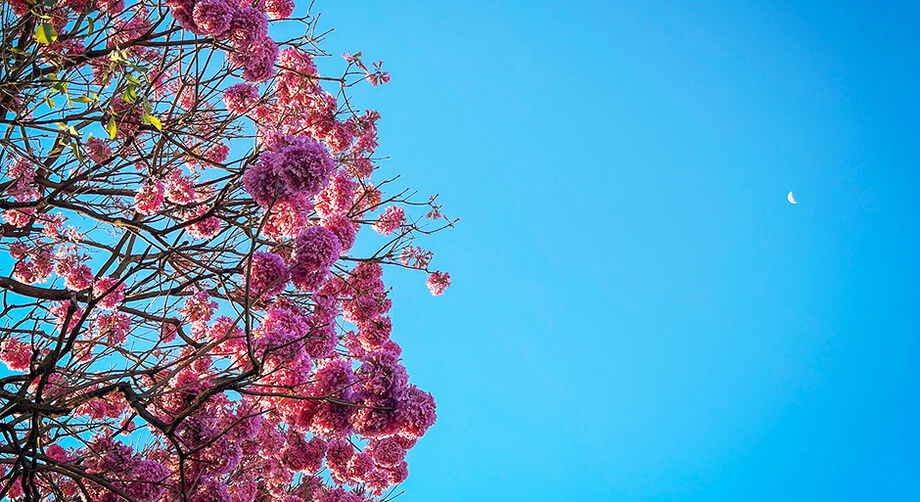 Céu limpo com calor intenso e possibilidade de tempestades marcam previsão da primavera em Mato Grosso do Sul