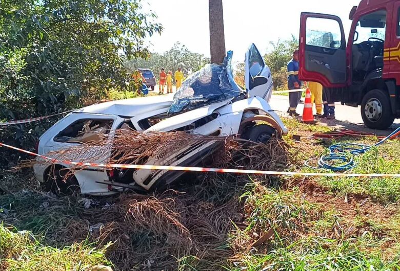 Carro saiu da pista e bateu em árvore