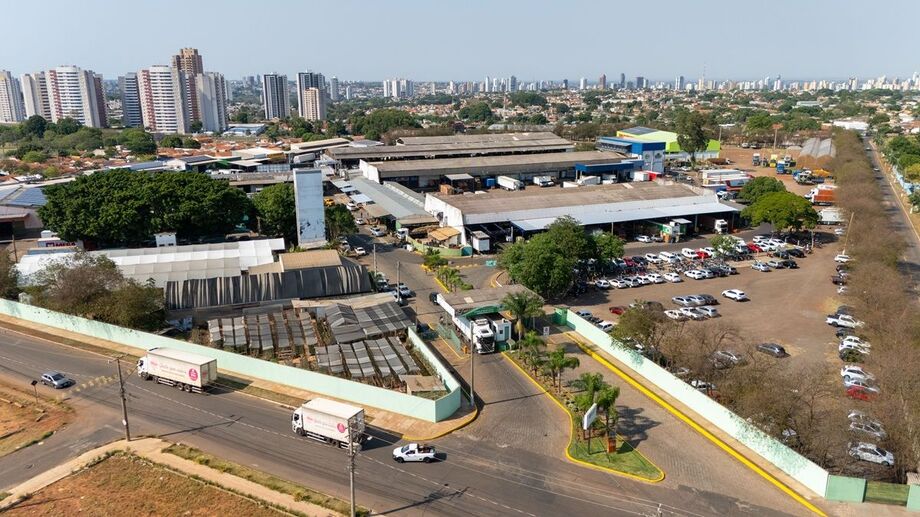 Com a chegada da entressafra, o preço da batata-doce e do abacate subiu em Mato Grosso do Sul, segundo boletim da Ceasa.