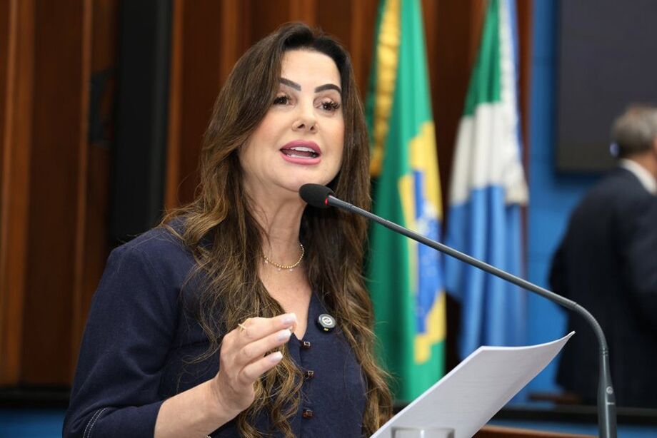 Mara Caseiro pede urgência na aprovação de projeto que prevê câmeras em escolas
