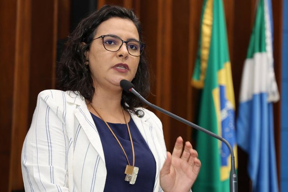 Modelo tem gerado inúmeros problemas no sistema educacional, principalmente em Dourados, conforme a parlamentar