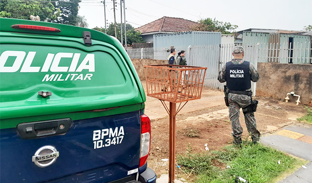Quase 800 animais silvestres foram resgatados na Operação Libertas, e Mato Grosso do Sul foi peça-chave nessa ação!