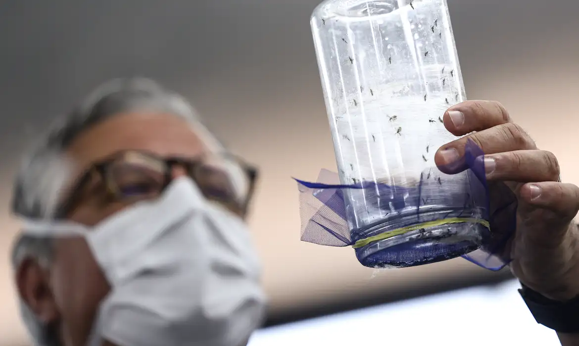 Nova fábrica em Campinas promete reforçar o combate à dengue com mosquitos desenvolvidos por biotecnologia.