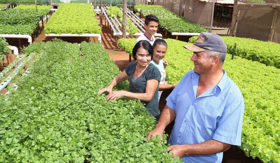Prefeitura de Campo Grande lança o AgroIntegra CG, projeto que aproxima produtores rurais da alimentação escolar.