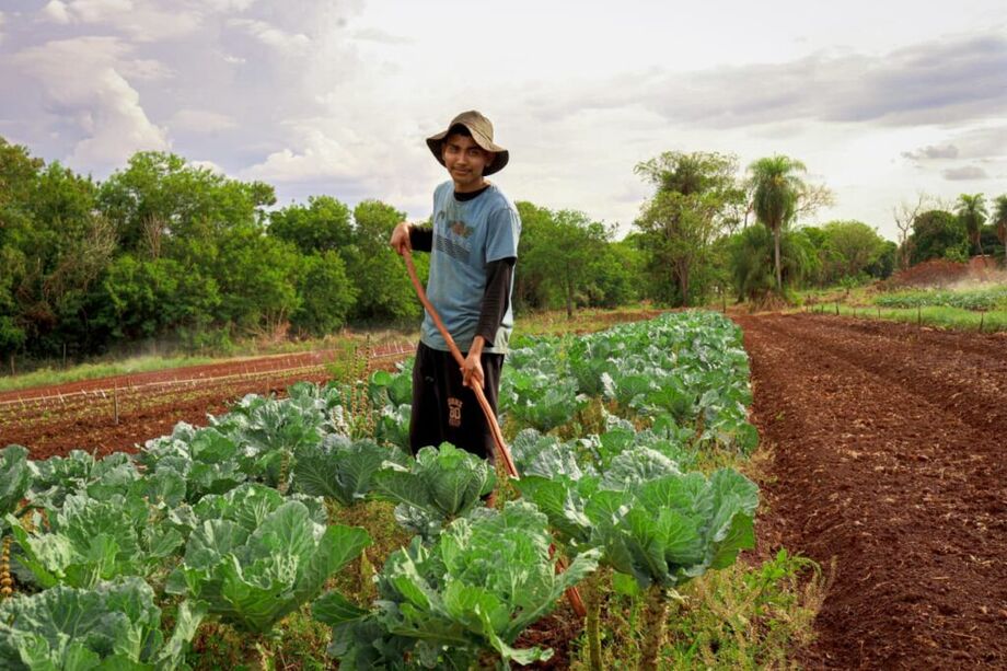 Produtores da agricultura familiar passam a contar com certificação, assistência técnica e apoio da Prefeitura por meio do programa AgroIntegra CG