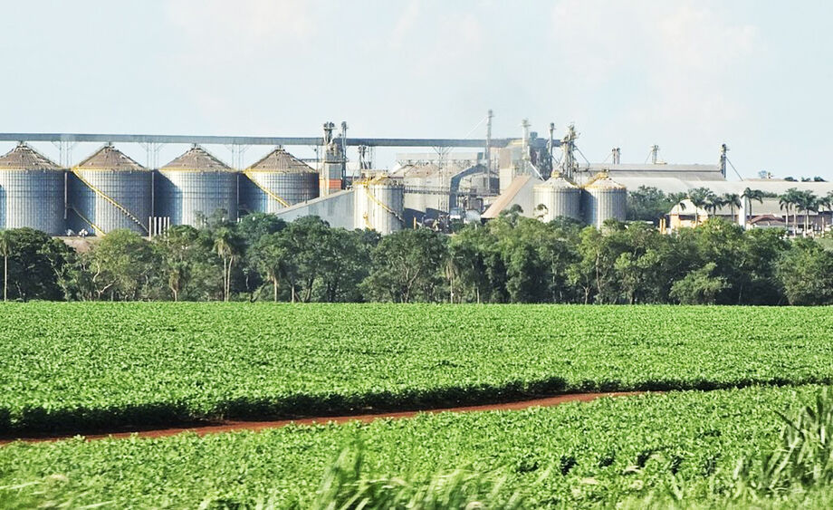 Silos vazios e campos produtivos: MS enfrenta déficit de armazenagem que limita estratégias de comercialização