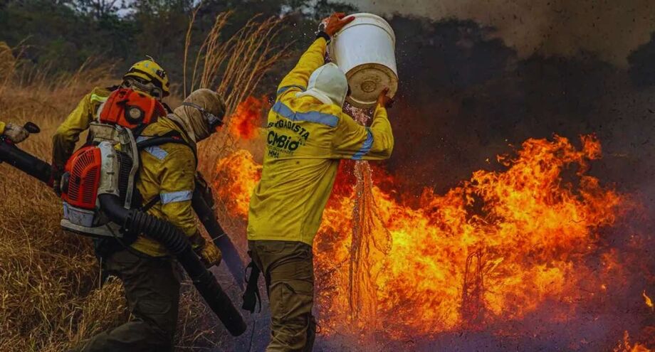 Incêndios na Chapada dos Veadeiros: dois focos já foram controlados