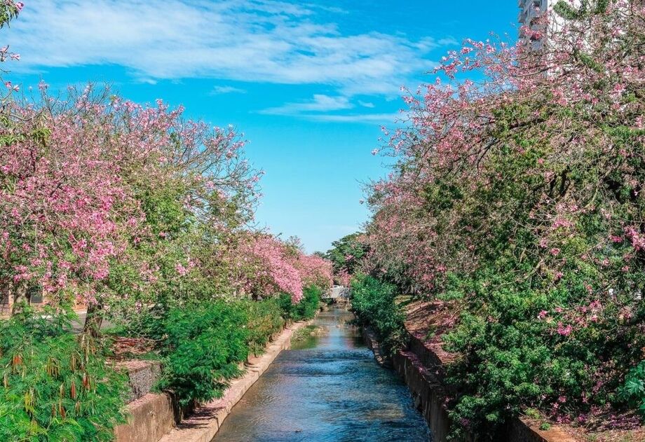 Infraestrutura verde como jardins de chuva passa a integrar planejamento urbano de Campo Grande com a nova lei