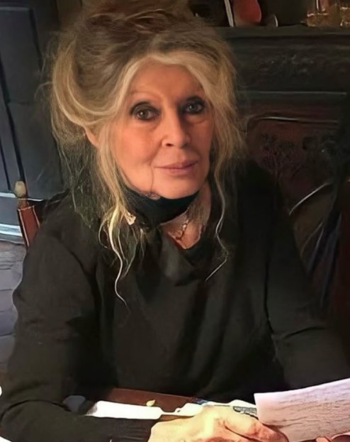 Brigitte Bardot foi internada em estado grave em um hospital na cidade de Toulon, no sul da França.