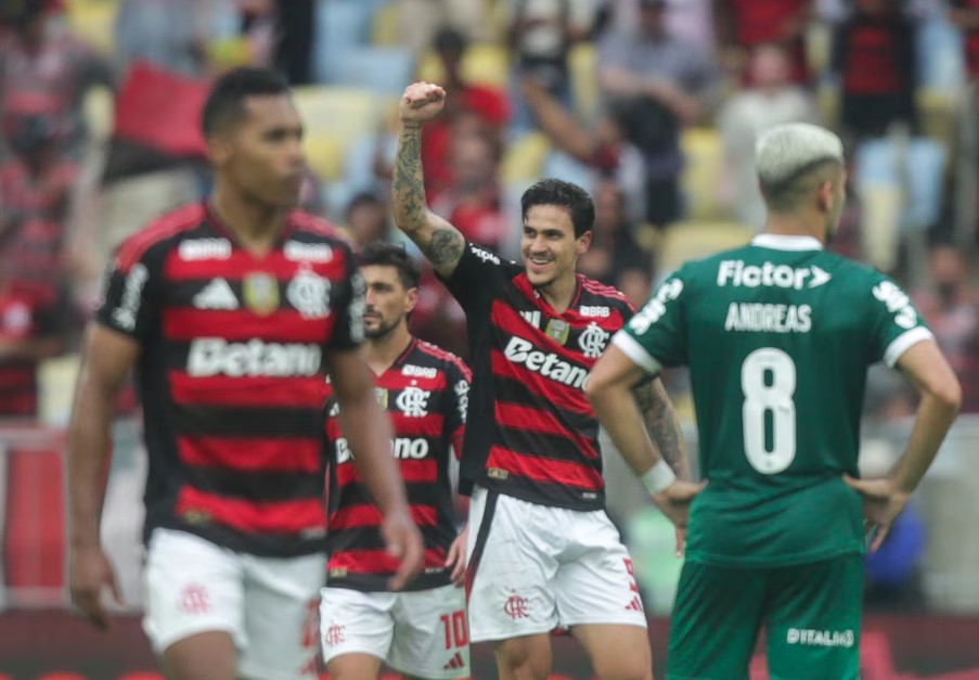 Pedro comemora gol do Flamengo contra o Palmeiras.