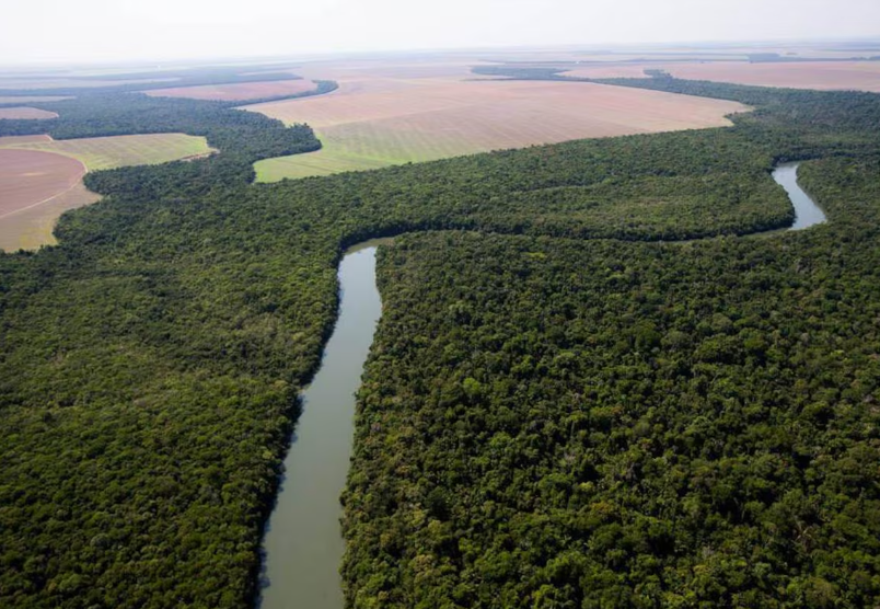 Sobrevoo mostra região entre as cidades de Sinop e Brasnorte, em Mato Grosso