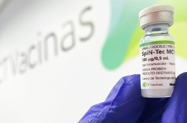 Vacina SpiN-TEC foi criada por pesquisadores da UFMG e já passou pelas fases iniciais de testes com bons resultados