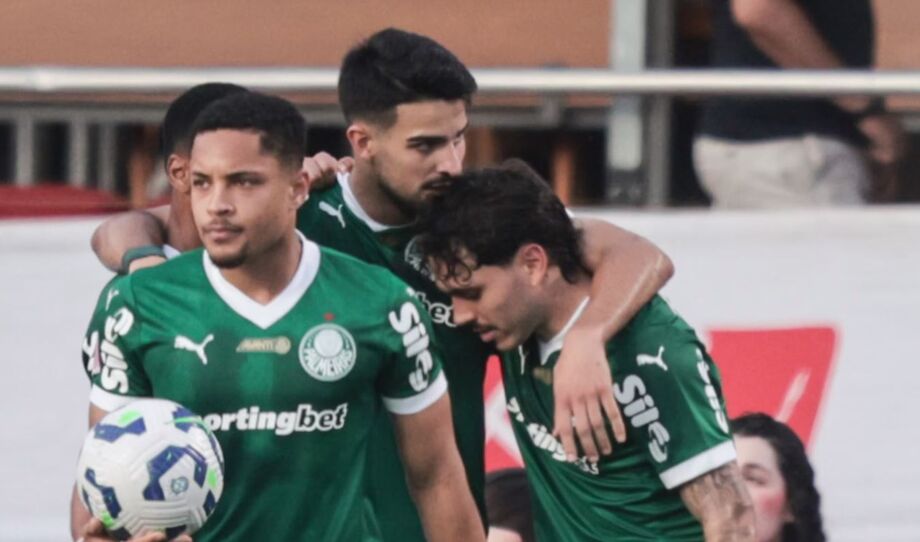 Palmeiras reassumiu a liderança do Brasileirão depois de vitória no clássico com o São Paulo.