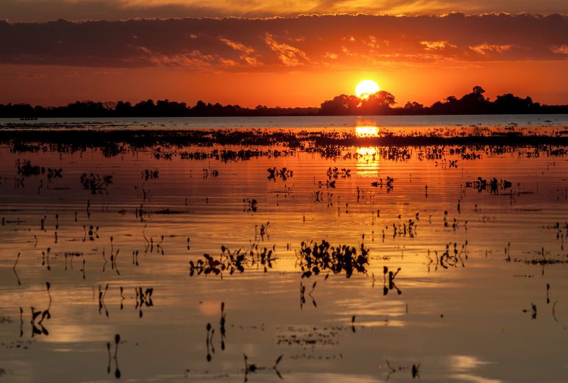 Mato Grosso do Sul comemora 48 anos de emancipação. Do Pantanal ao agronegócio, um estado que pulsa história, natureza e futuro.