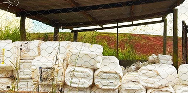 Lavoura em Sonora onde fiscalizações apontaram depósito inadequado de agrotóxicos e descarte irregular de embalagens.