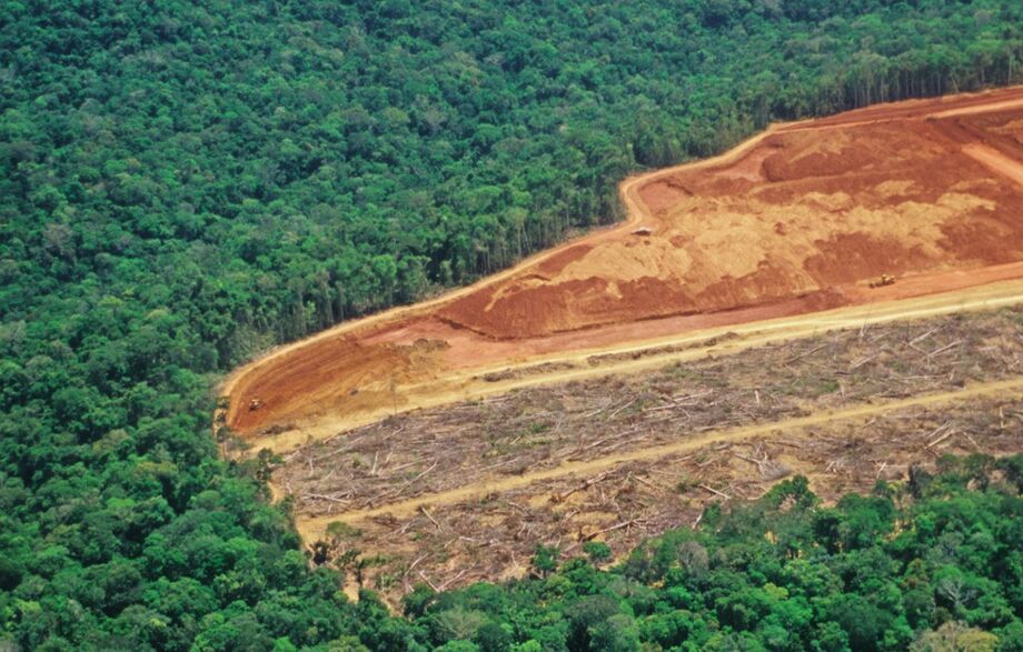 Relatório aponta que o mundo perde uma área do tamanho de 22 campos de futebol por minuto em florestas