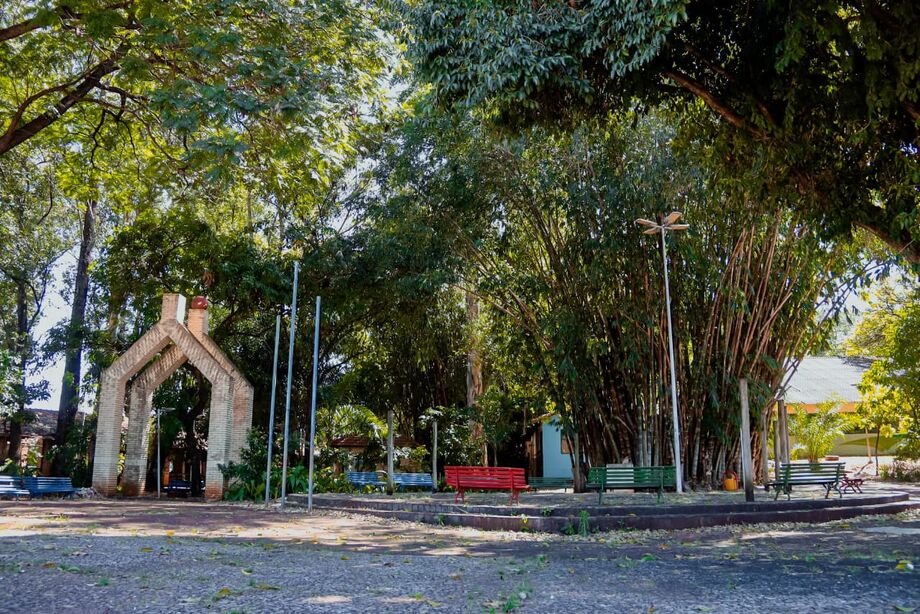 Remoção de árvores no Horto Florestal marca o início da revitalização do parque, em parceria com a Fecomércio-MS.