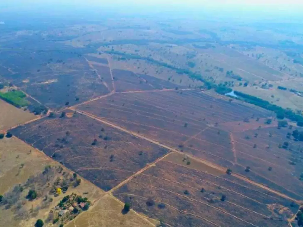 Imagem aérea mostra área devastada pelo fogo