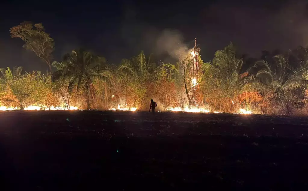 Brigadista atua no combate ao fogo durante a madrugada no Parque Estadual das Nascentes do Rio Taquari, em Alcinópolis (MS).