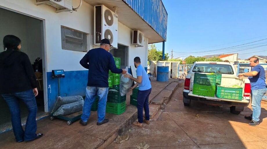 Alimentos adquiridos da agricultura familiar são repassados pela Prefeitura de Dourados para entidades beneficentes