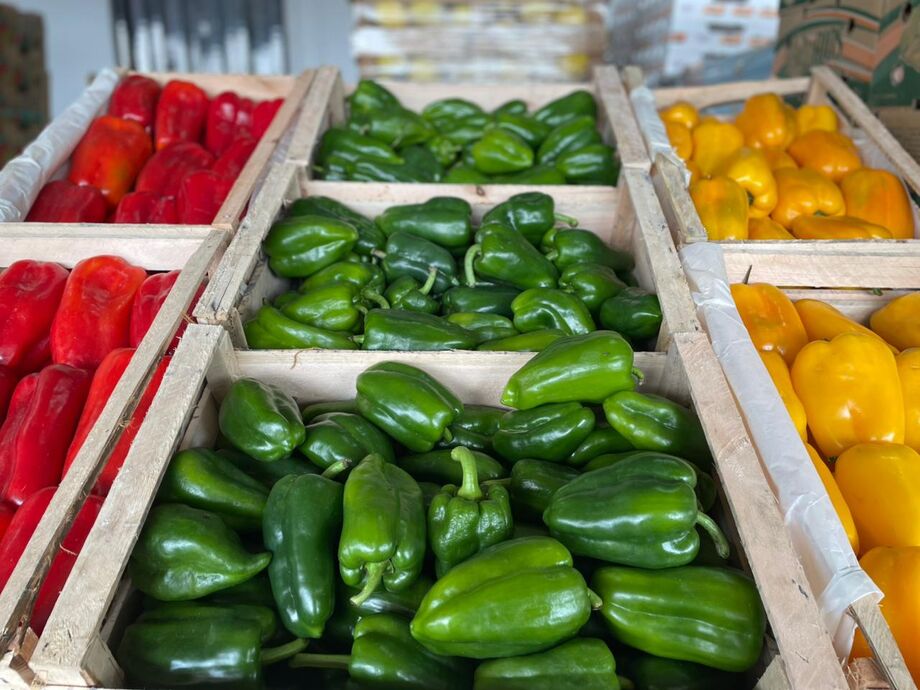 Entressafra do morango eleva preços na Ceasa/MS, enquanto o pimentão verde registra queda de 14% na semana
