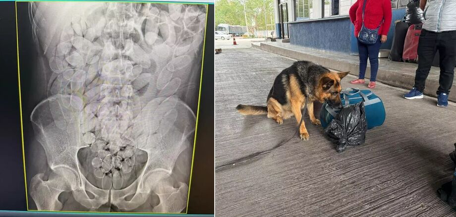 Imagem de raio-X mostra cápsulas de cocaína no estômago de um dos passageiros; cão farejador da Receita Federal identifica bagagem suspeita durante abordagem no posto Esdras, em Corumbá (MS)