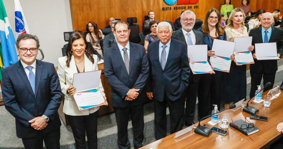 Equipe do TED e diretoria da OAB/MS se reuniram para lançar o ementário com decisões de 2019 a 2023