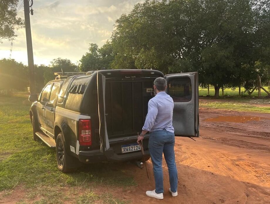 Polícia Civil de Caarapó prendeu homem que atacou a própria mãe com uma foice dentro de casa