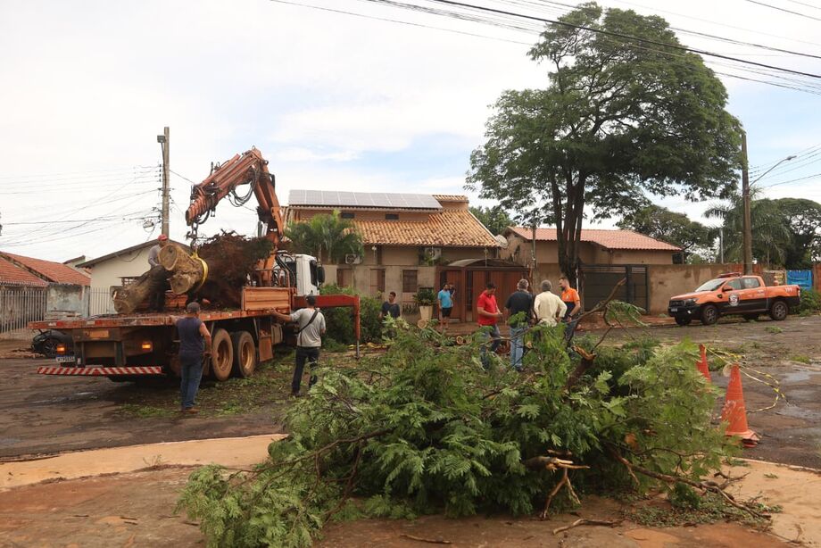 Equipes atuam na remoção de árvores e contenção de danos após temporal em Campo Grande