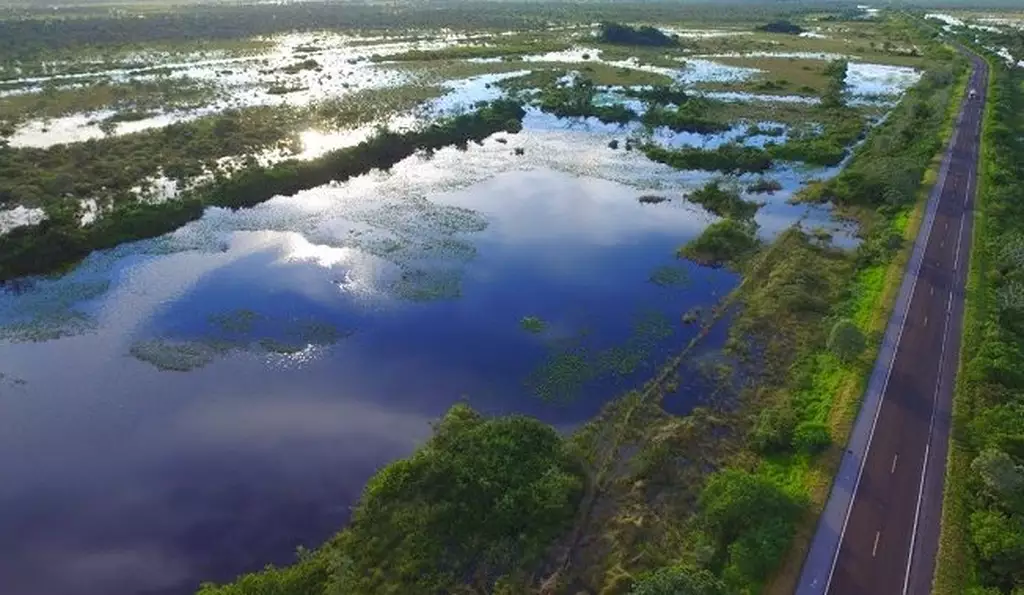 Vista aérea da Estrada Parque no Pantanal sul-mato-grossense, região analisada em estudo sobre estoques de carbono na Bacia do Alto Paraguai.
