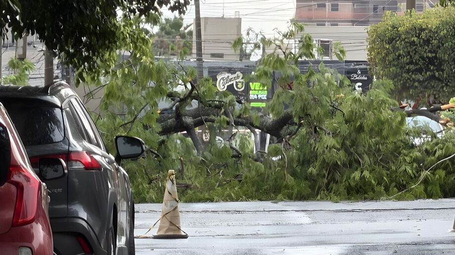 Equipes da Defesa Civil, Sisep e Guarda Municipal atuam desde a noite de quarta-feira (12) nas áreas mais afetadas