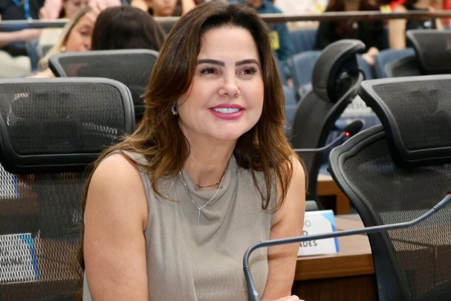 A deputada estadual Mara Caseiro (PSDB) apresentou indicação ao Governo do Estado solicitando reparos urgentes na cabeceira da ponte sobre o Rio Morumbizinho