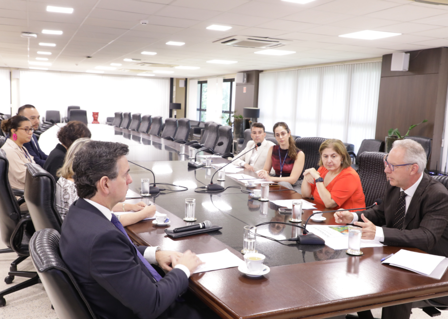 Reunião do comitê no TJMS aprovou diretrizes e lançou cartilha sobre indígenas com transtornos mentais.