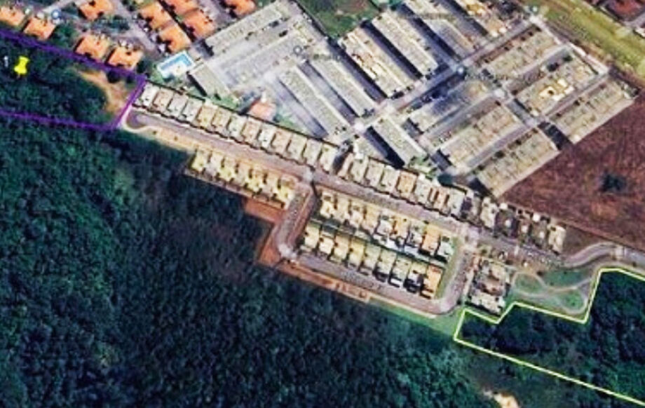 Nascentes da bacia do Córrego Lajeado em Campo Grande foram restauradas no projeto Água para o Futuro após controle de espécies invasoras.