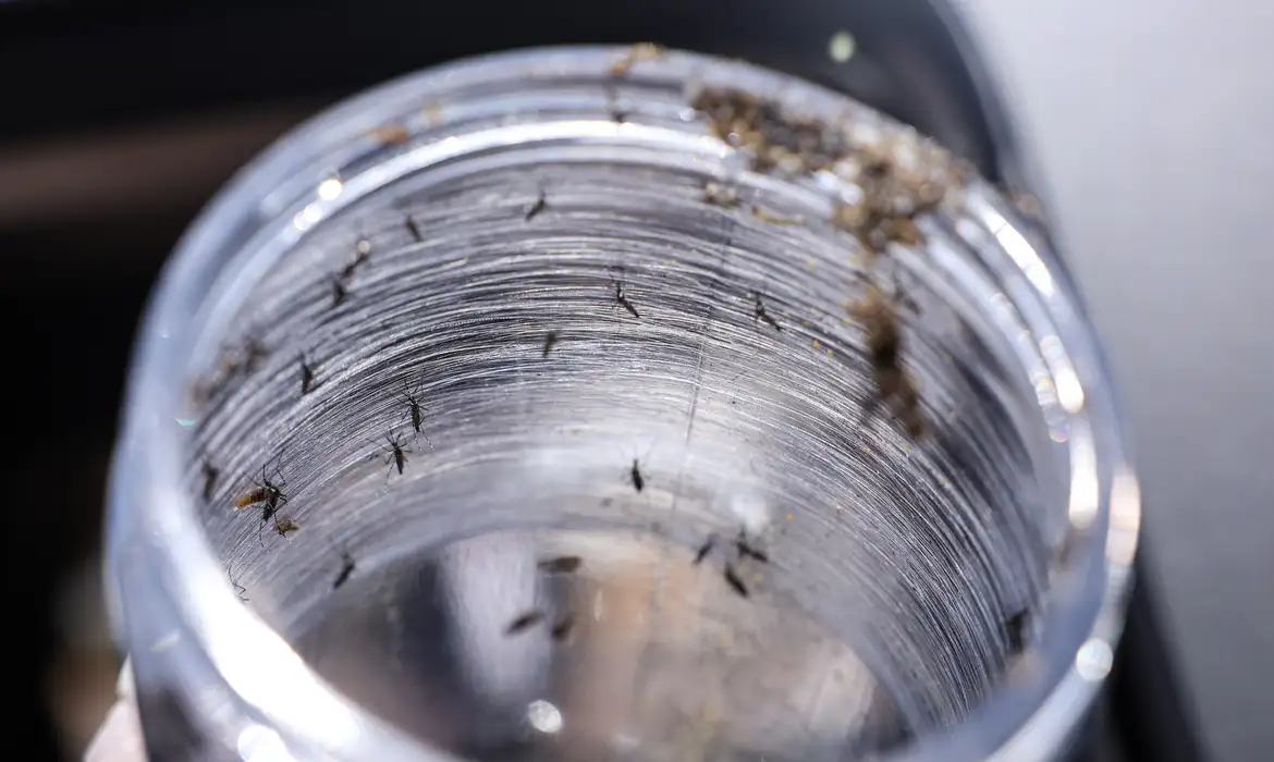 Dia D contra a doença será realizado no próximo sábado (8)