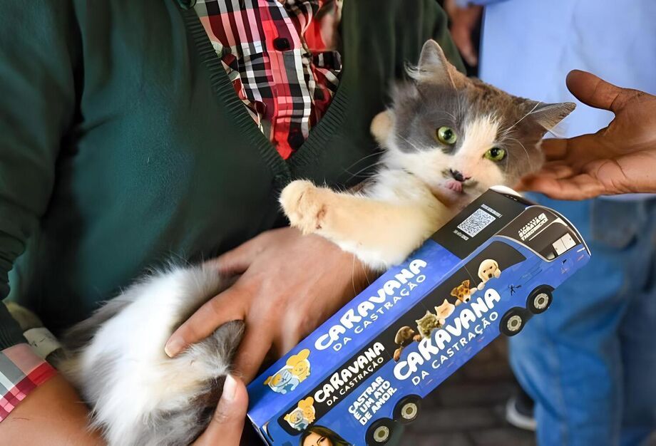 Caravana da Castração atenderá 1.500 animais em Dourados com estrutura completa e gratuita.