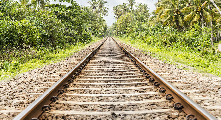 Governo lança plano ferroviário com oito leilões em 2025 e mira destravar projetos como a Ferrogrão.