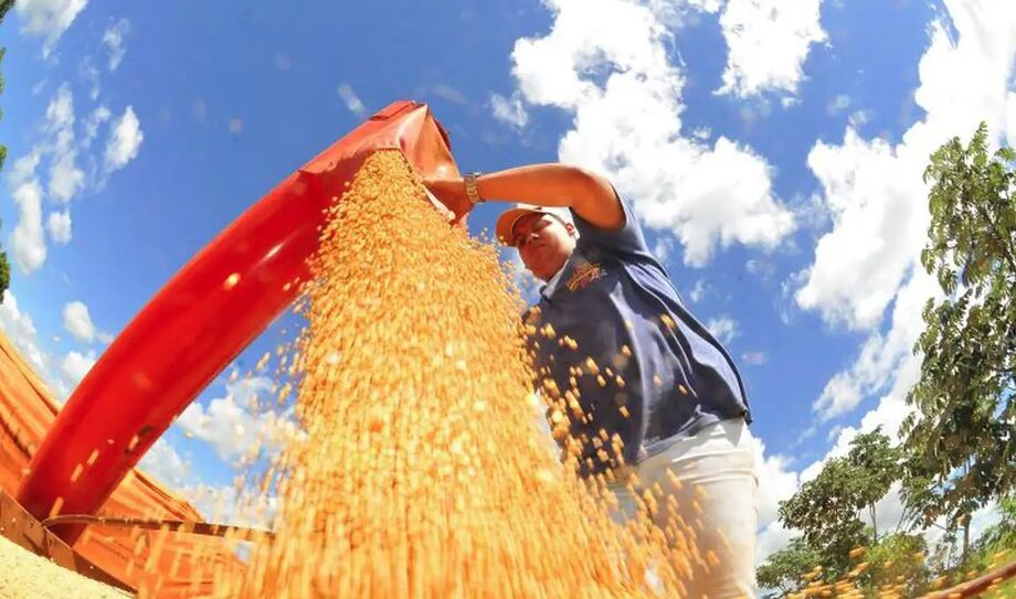 Agronegócio foi determinante para que Mato Grosso do Sul registrasse o segundo maior crescimento econômico do Brasil em 2023.