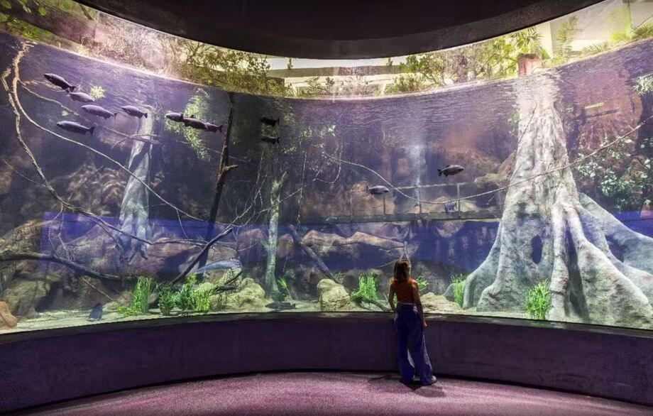 AquaFoz, inaugurado em Foz do Iguaçu, revela ecossistemas dos rios Iguaçu e Paraná e reúne mais de 300 espécies aquáticas.