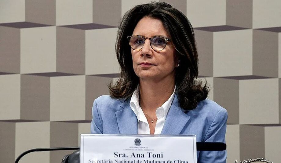 Ana Toni afirmou que os protestos fazem parte da democracia e que ONU mantém diálogo contínuo com o Brasil.