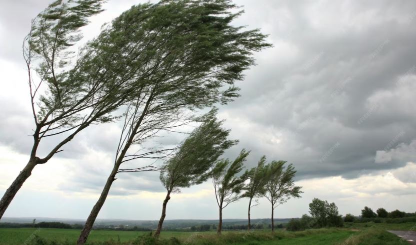 Céu carregado e ventania no Mato Grosso do Sul; Inmet alerta para risco de tempestades severas