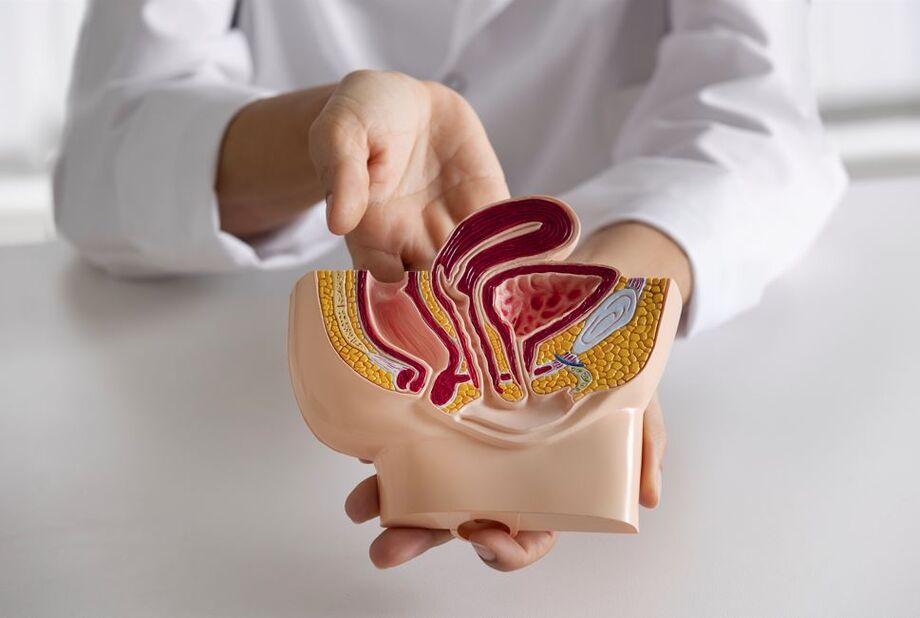 Mais de 60% dos casos de câncer colorretal no Brasil são diagnosticados em estágio avançado, aponta estudo.