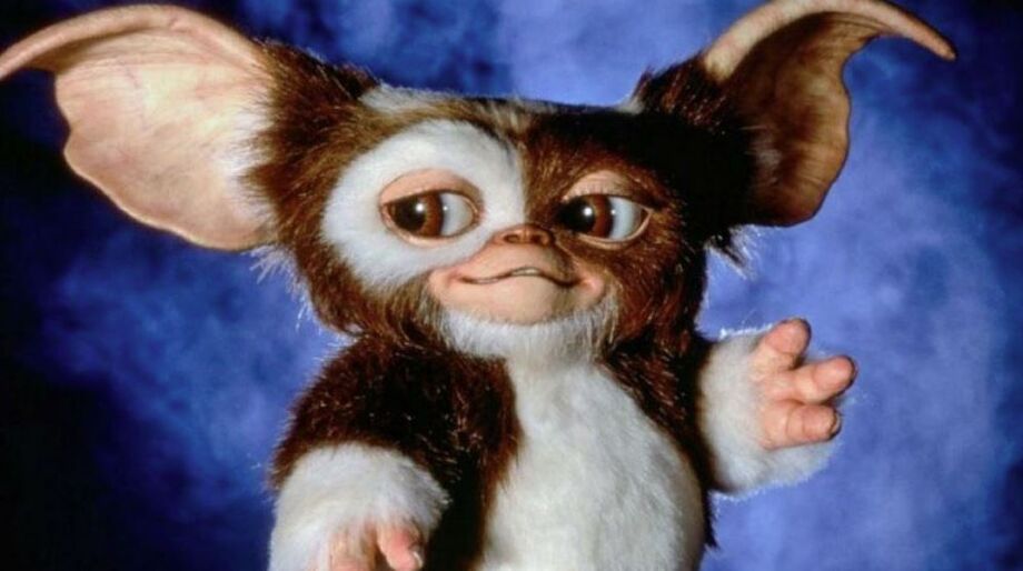 Gizmo, o mogwai mais famoso do cinema, retorna às telonas em Gremlins 3, previsto para 2027.