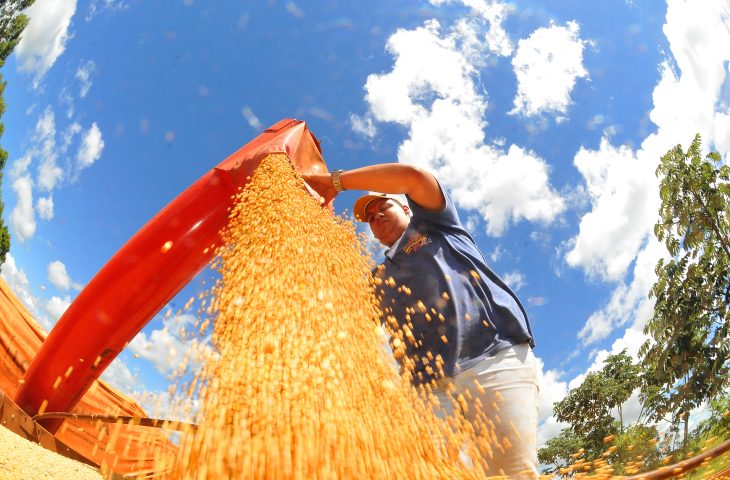 Soja lidera a produção agropecuária do estado, representando mais de 34% do valor total em 2025