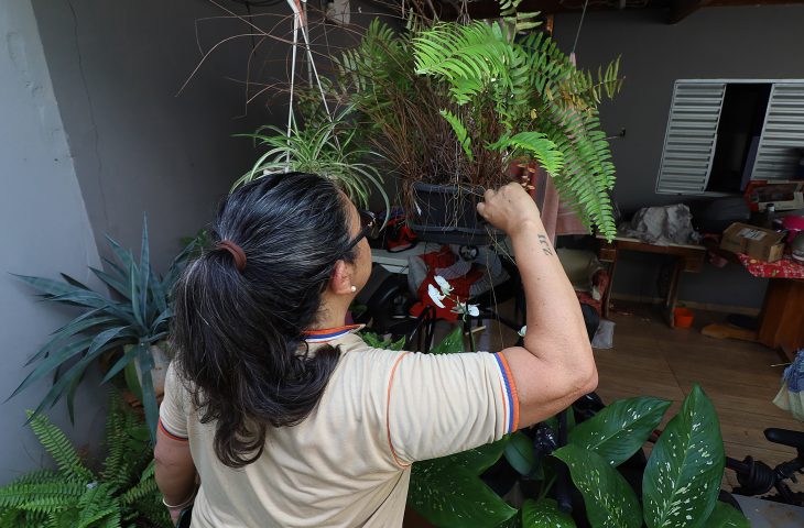 Contra o mosquito, todos do mesmo lado: Mato Grosso do Sul realiza 'Dia D' de Combate à Dengue