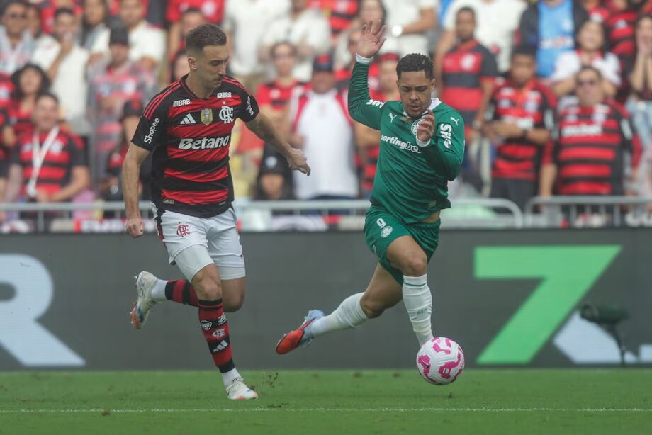 Palmeiras e Flamengo vão decidir a final da Libertadores.