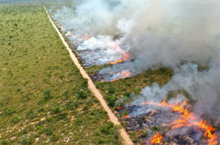 Seminário em dezembro orienta sobre planos de manejo do fogo para prevenir queimadas e incêndios no MS.