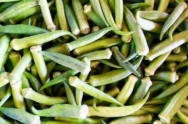 Oferta elevada de hortaliças na CEASA/MS pressiona preços e beneficia consumidores